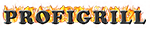 Profigrill grillkészülékek és teraszfűtők honlapja